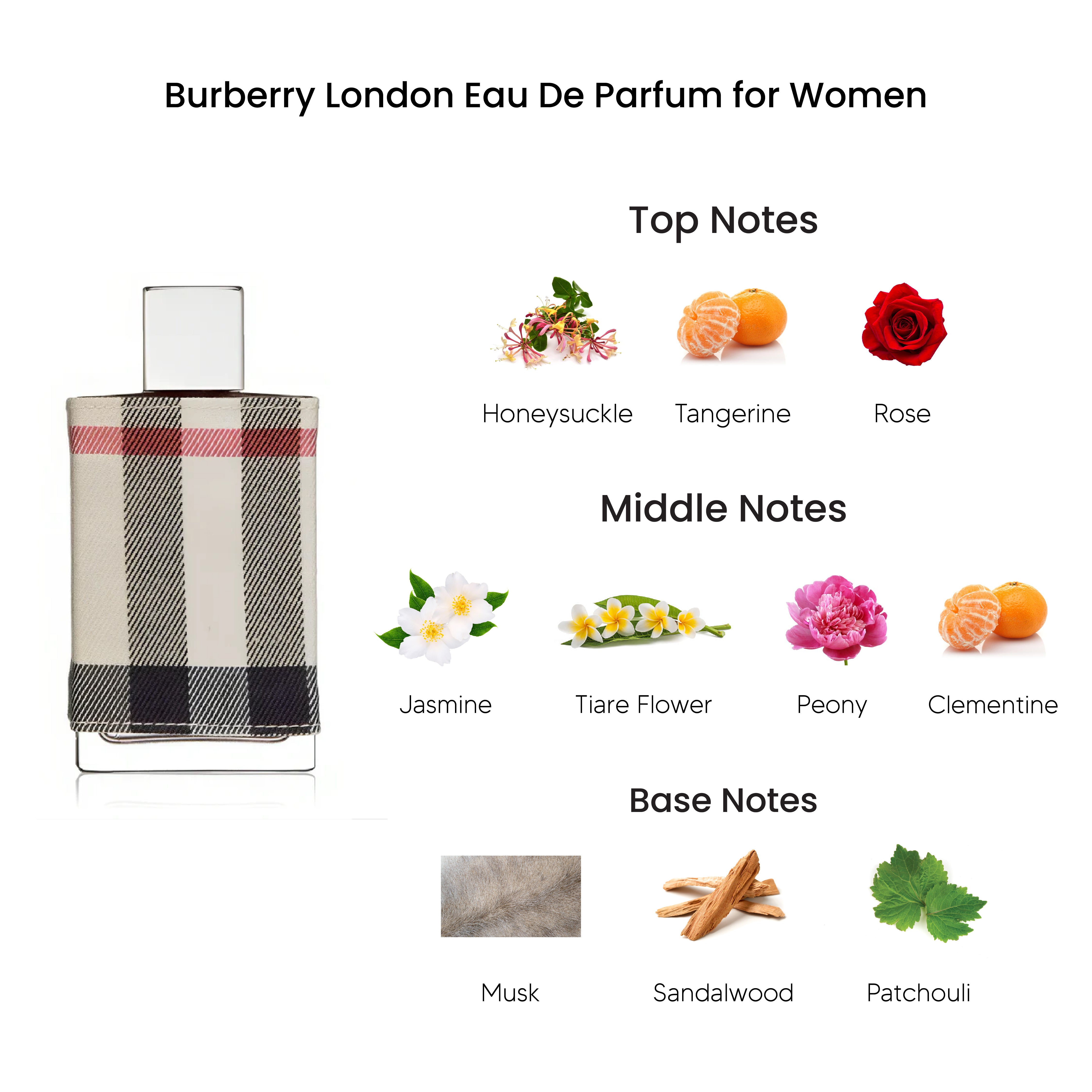 Burberry london perfume notes online