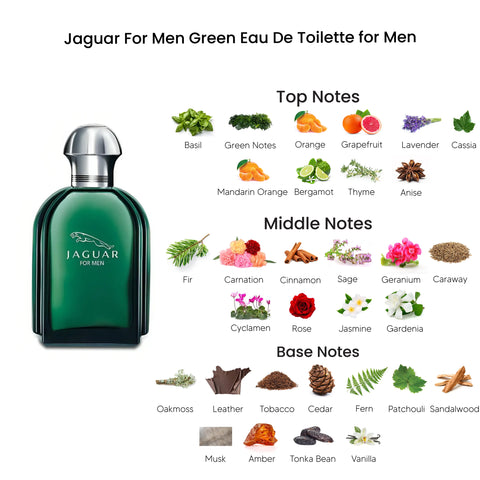 Jaguar For Men Green Eau De Toilette for Men 100ML