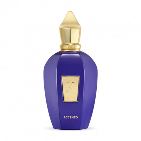 Xerjoff Accento Eau De Parfum for Unisex 100ML